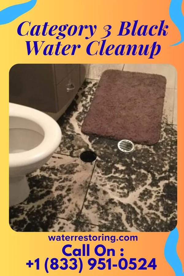 Category 3 Black Water Cleanup in Schleswig, IA